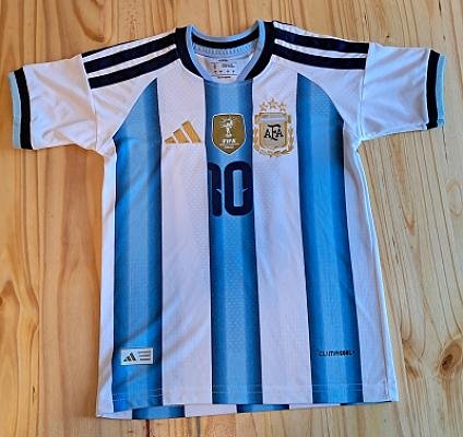 CAMISETA ARGENTINA CELESTE BLANCA ADULTO foto 1