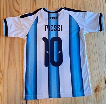 CAMISETA ARGENTINA CELESTE BLANCA ADULTO foto 2